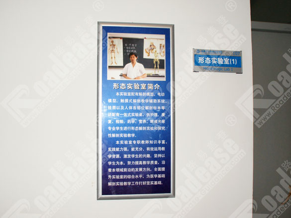 KlIgWԺƽ8325RƈDƬ